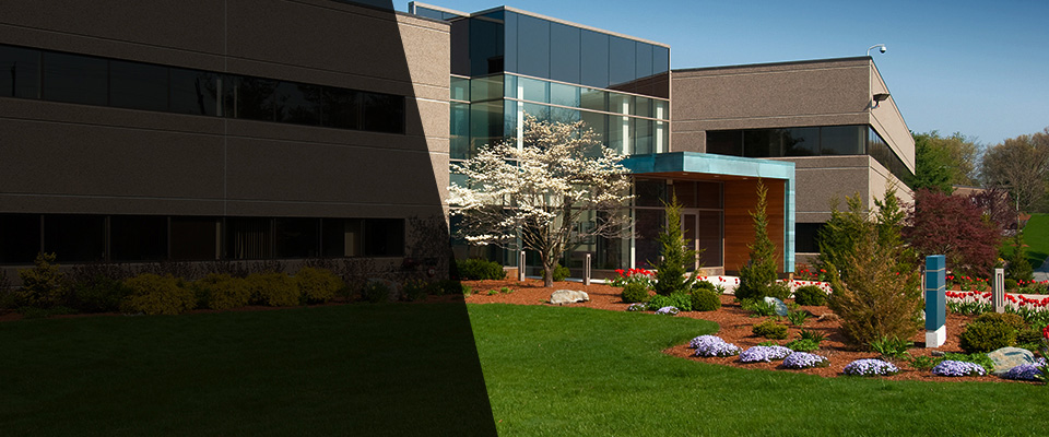 Sayre Landscapers