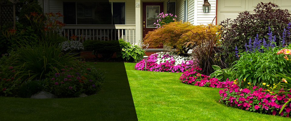 Sayre Landscapers