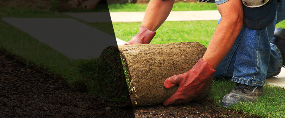 Sayre Landscapers